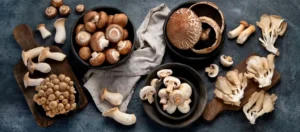 Mushroom