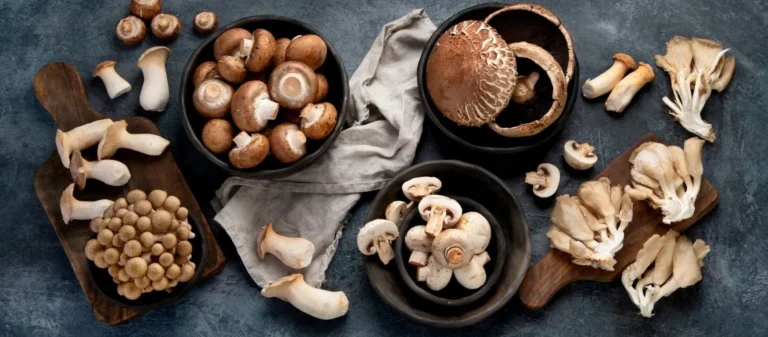 Mushroom